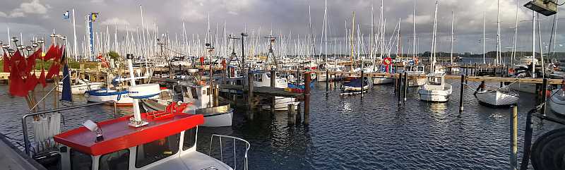 2020 Marina Maasholm