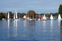 Vereinsregatta SV Einheit Werder 2016