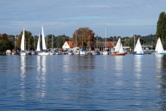 Vereinsregatta SV Einheit Werder 2016