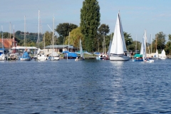 Vereinsregatta SV Einheit Werder 2016