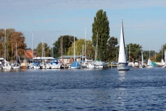 Vereinsregatta SV Einheit Werder 2016